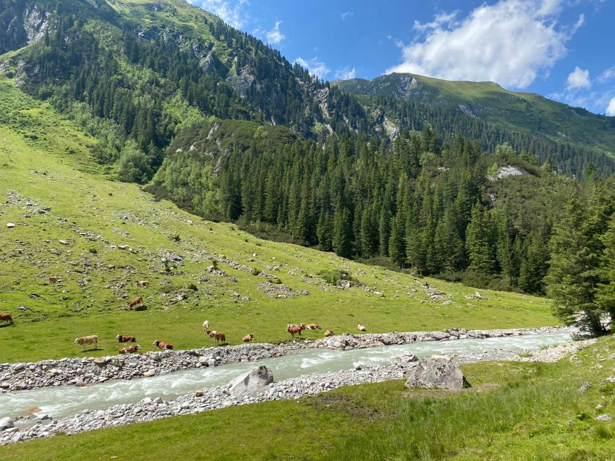 דירות Neukirchen am Großvenediger Penthaus Kitzebueheler Alpen מראה חיצוני תמונה