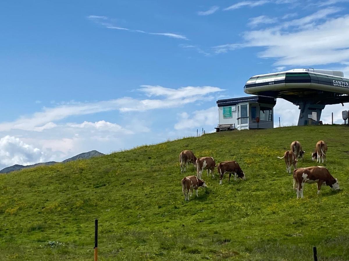 דירות Neukirchen am Großvenediger Penthaus Kitzebueheler Alpen מראה חיצוני תמונה